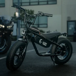 AR ATOM 1000 WATT MINI ELECTRIC BICYCLE